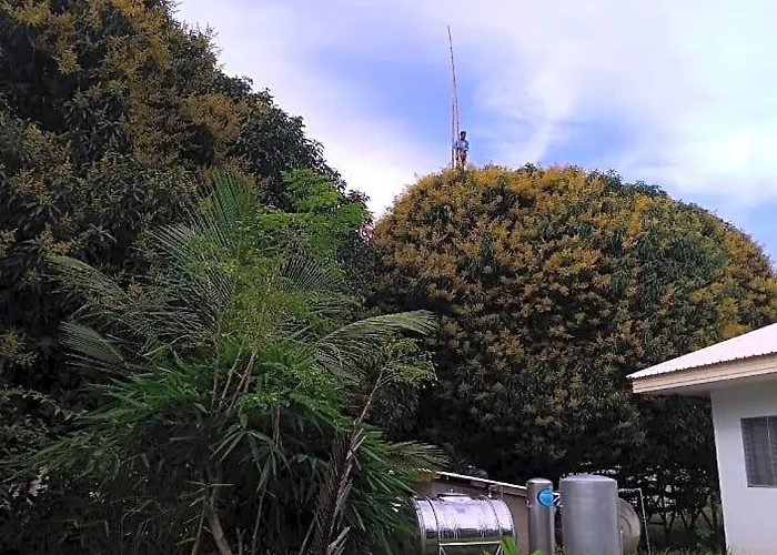 アパート Mangoes Place *